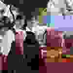 DSCN7668