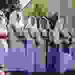DSCN7678