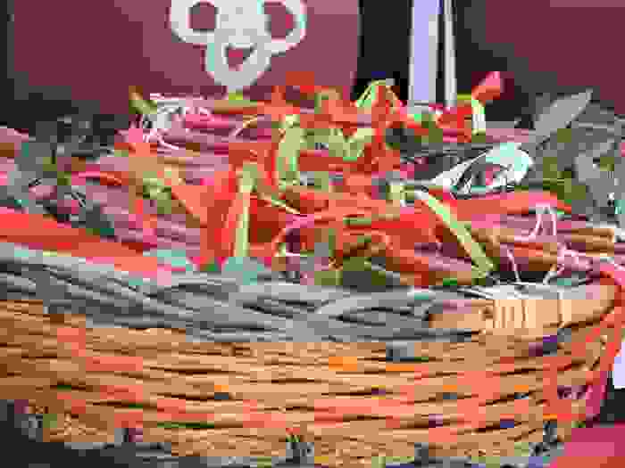 DSCN7679