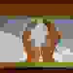 F.Εθελοντισμός 1