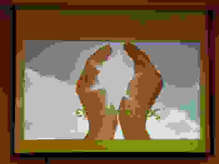 F.Εθελοντισμός 1