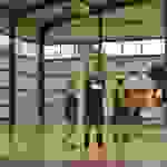 TV1_7957