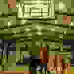 TVE_2241