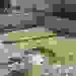 ag2