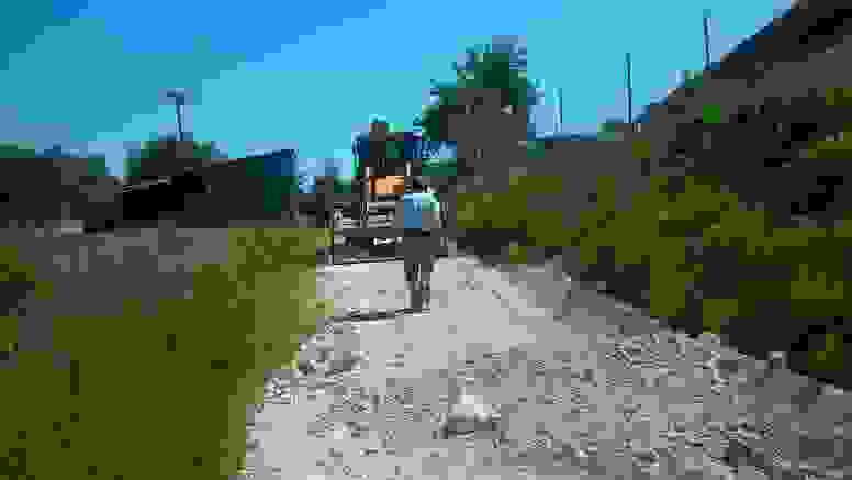alex1