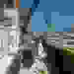 alex3