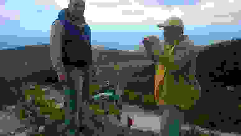 alex3