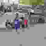 an111