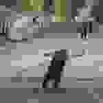 an116