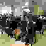 an13