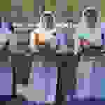an137