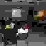 an2