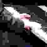 an23