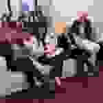 an23