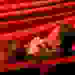an27