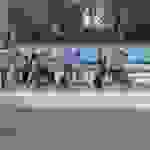 an28