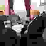 an29