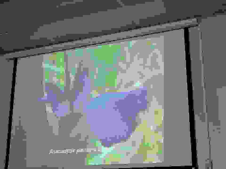 an42