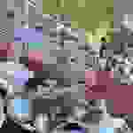 an61