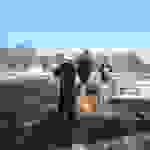 an71