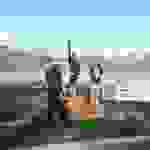 an74