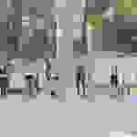 an83
