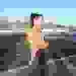 an96