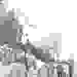ber1