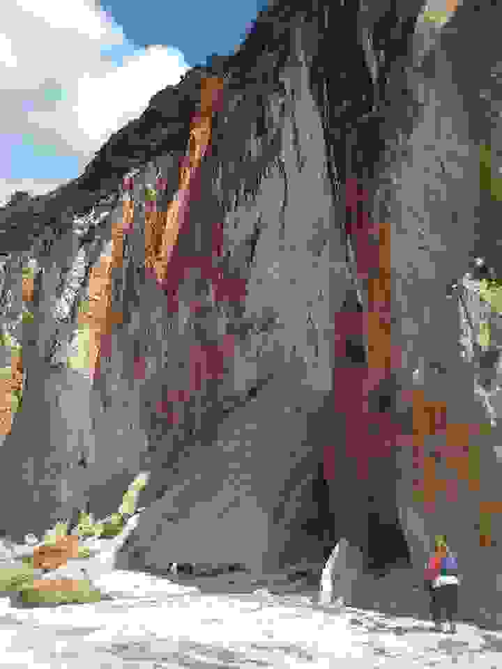 dion12