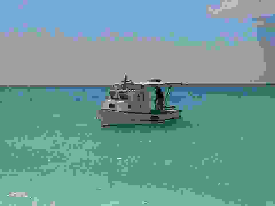 dion22