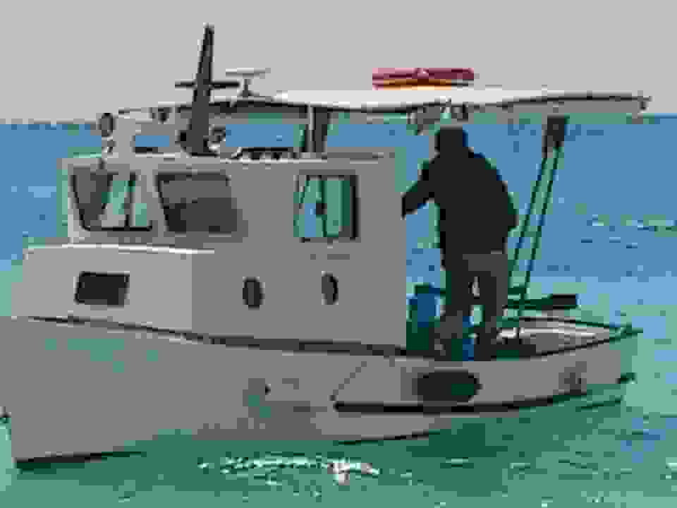 dion23