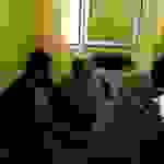 f4