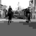 ip