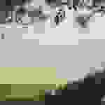 jer1