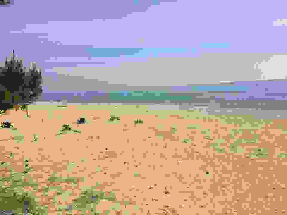 jer3