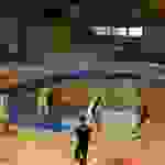 kao1
