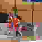 kao1