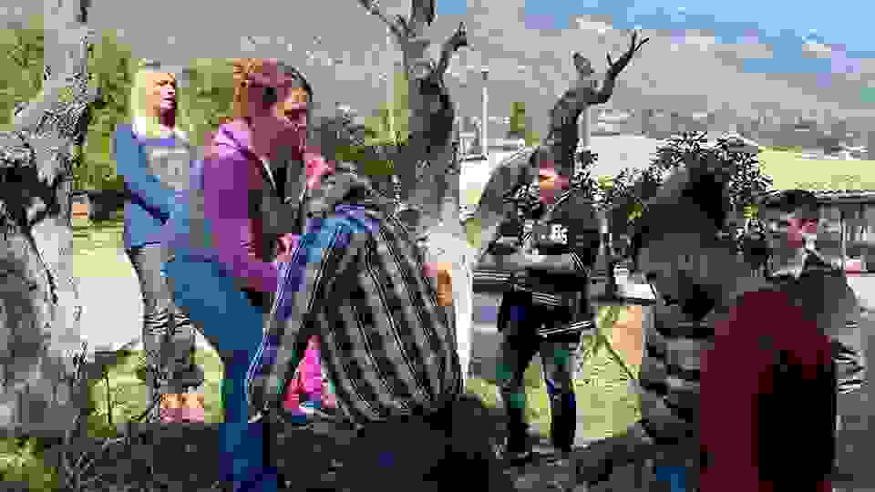 kaps1