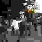 kaps5