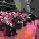 kar5