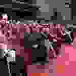 kar7