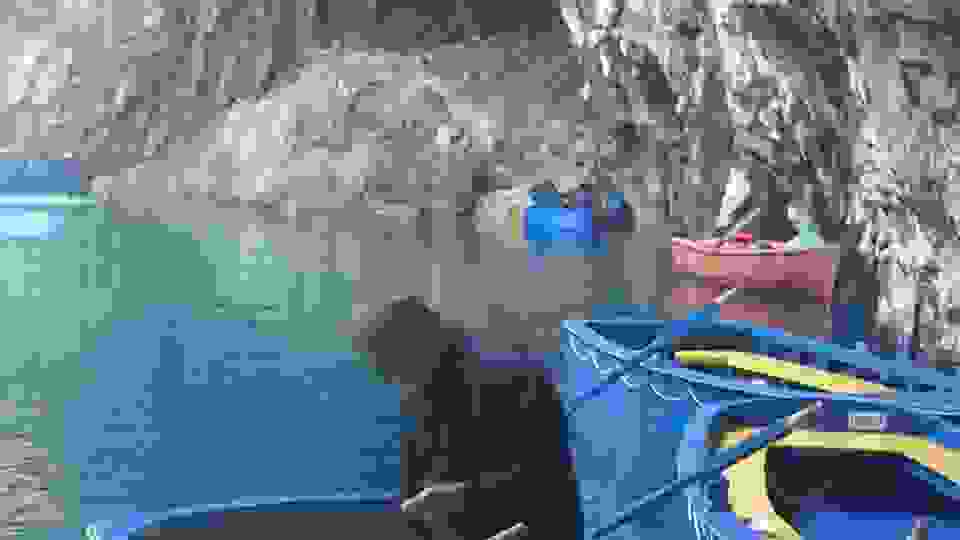 mel8