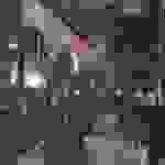 mitr3