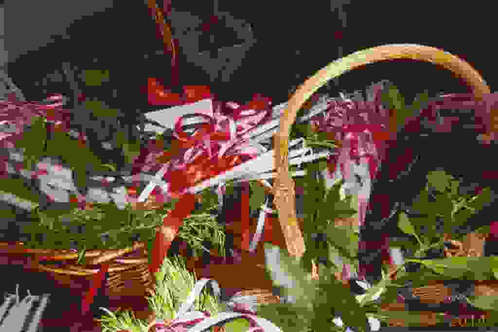 mpot4