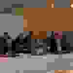 pav13