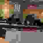 pav2