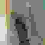 pav3