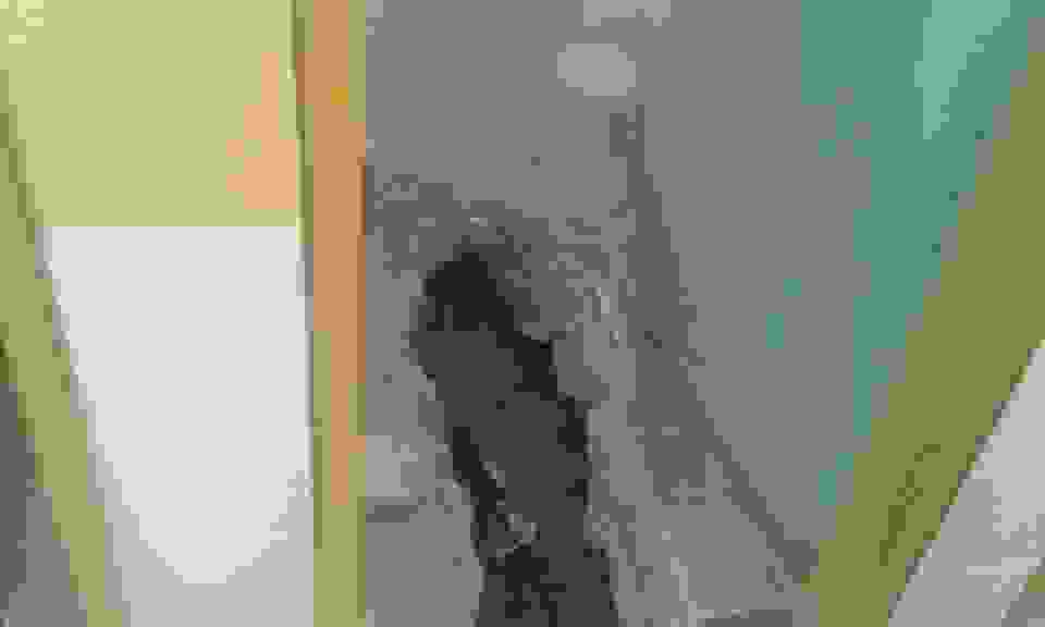 pav3