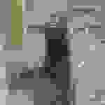 pav4