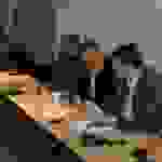 pav5